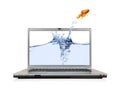 Goldfish Jumping Out Of Laptop Royalty Free Stock Photo