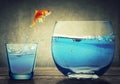 Goldfish jumping out from one small glass cup to another bigger fishbowl aquarium Royalty Free Stock Photo