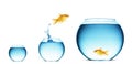 Goldfish jumping out of the water Royalty Free Stock Photo