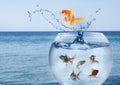 Goldfish jumping out of water and beautiful seascape on background Royalty Free Stock Photo