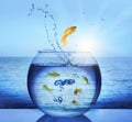 Goldfish jumping out of water and beautiful seascape on background Royalty Free Stock Photo