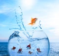 Goldfish jumping out of water and beautiful seascape on background Royalty Free Stock Photo