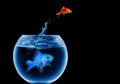 Goldfish jumping out of the water Royalty Free Stock Photo