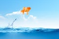 Goldfish jumping out of the water Royalty Free Stock Photo