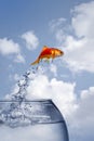 Goldfish jumping out of the water Royalty Free Stock Photo