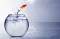 Goldfish jumping into the sea Royalty Free Stock Photo