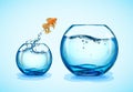 Goldfish jumping from the small fishbowl to bigger Royalty Free Stock Photo