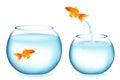 Goldfish Jumping To Other Goldfish. Vector