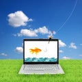 Goldfish in a laptop Royalty Free Stock Photo