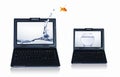 Goldfish and laptop Royalty Free Stock Photo