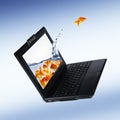 Goldfish and laptop Royalty Free Stock Photo