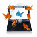 Goldfish and laptop Royalty Free Stock Photo