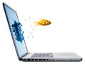 Goldfish leaping from laptop Royalty Free Stock Photo