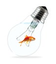 Goldfish in light bulb