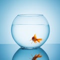 Goldfish looks amazed in a fishbowl