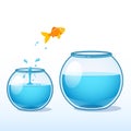 Goldfish making leap of faith to a bigger fishbowl Royalty Free Stock Photo