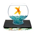 Goldfish with money Royalty Free Stock Photo