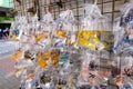 Goldfish and other colorful fishes in plastic bag on pet market