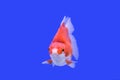 Goldfish Ryukin Royalty Free Stock Photo