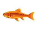 Goldfish sea life animal icon Royalty Free Stock Photo