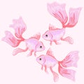 Set of vector illustrations of fish Royalty Free Stock Photo