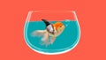 Goldfish with shark fin swim in fish bowl, Gold fish in water. Mixed media Royalty Free Stock Photo