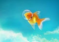 Goldfish in the sky with Astronaut hat, Gold fish swim in the blue sky,Mixed media. enigmatic stories
