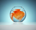 A goldfish in a small bowl. The concept of captivity