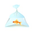 Goldfish swim in plastic bag, tied with rope.
