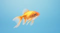 A vibrant goldfish gracefully swimming in clear blue water