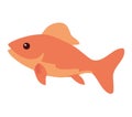 goldfish swimming design