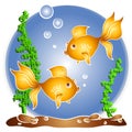 Goldfish Swimming Fishbowl Royalty Free Stock Photo