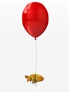 Goldfish tied to a balloon that flies