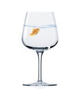goldfish in wine glass