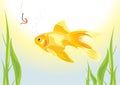 Goldfish and worm on a fish hook Royalty Free Stock Photo