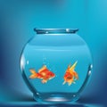 goldfishes in aquarium. Vector illustration decorative design