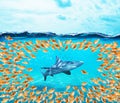 Goldfishes group surround the shark. Concept of unity is strenght,teamwork and partnership Royalty Free Stock Photo