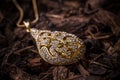 Goldplated pendant Royalty Free Stock Photo