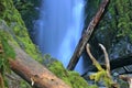 Goldstream Provincial Park with Niagara Falls Details, Vancouver Island, British Columbia Royalty Free Stock Photo