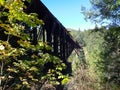 Cantilever style bridge in the forest