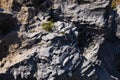 Gole Alcantara Sicilian national park. Alcantara river gorge canyon with volcanic lava caves and rocks. A touristic attraction in