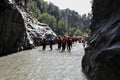 Gole dell\'Alcantara - Scorcio della spiaggetta dal canyon