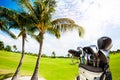 Golf bag with clubs against green course and palms Royalty Free Stock Photo