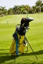 Golf bag and clubs on the edge of the green of a golf course