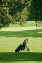 Golf Bag Waits on Green Fairway Royalty Free Stock Photo