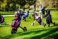 Golf bags, Golf clubs in golf bag on the fairway Royalty Free Stock Photo