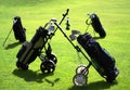 Golf Bags On Golf Course Royalty Free Stock Photo