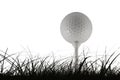 Golf ball Royalty Free Stock Photo