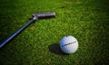 Golf ball on a background of green grass, in the background a golf club Royalty Free Stock Photo