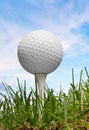 Golf Royalty Free Stock Photo